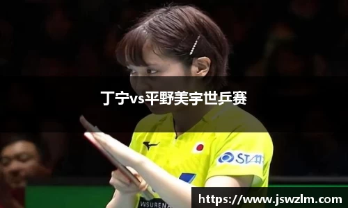 丁宁vs平野美宇世乒赛